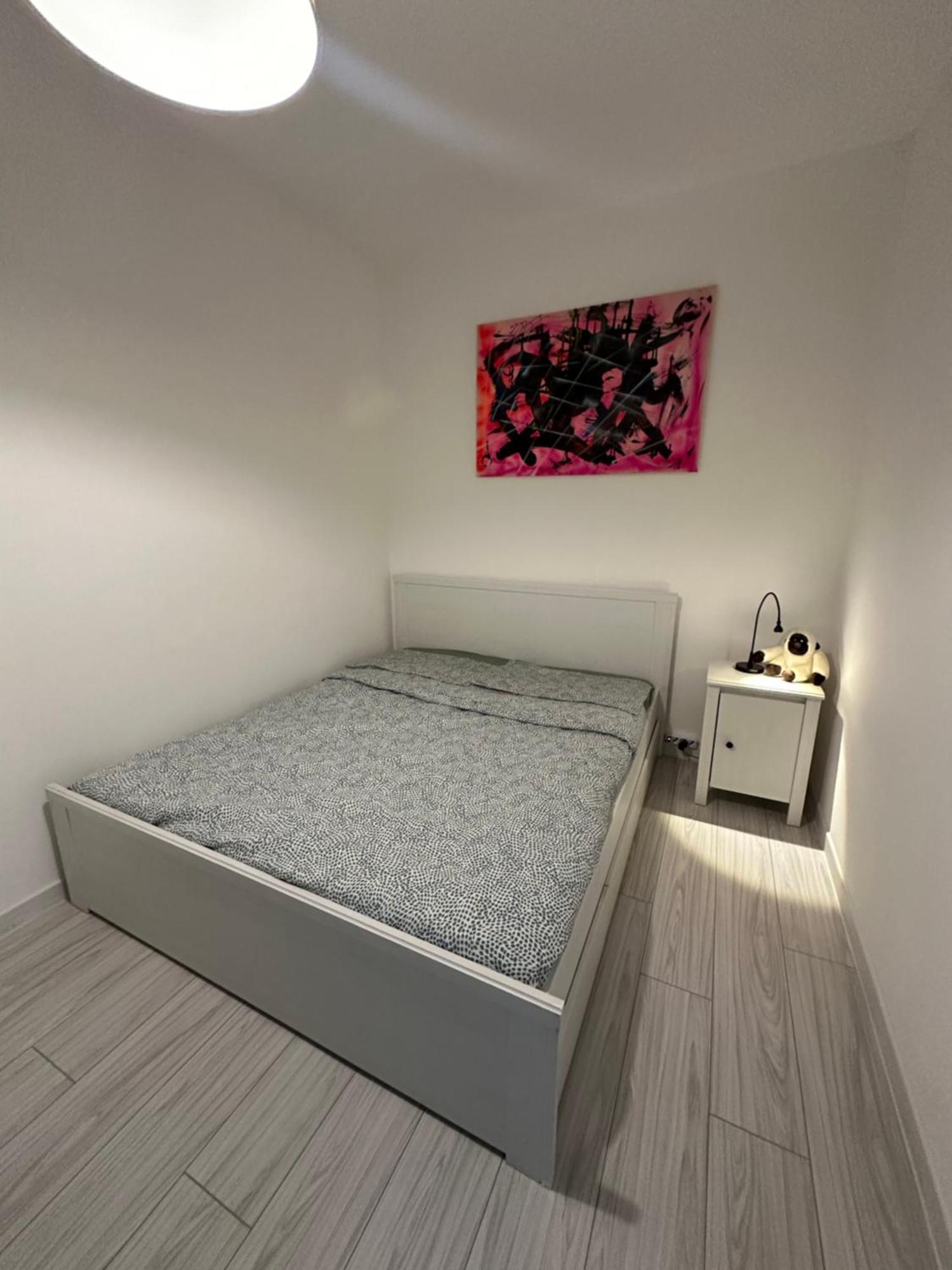 B&B Luna Rosa Pisa Exterior foto